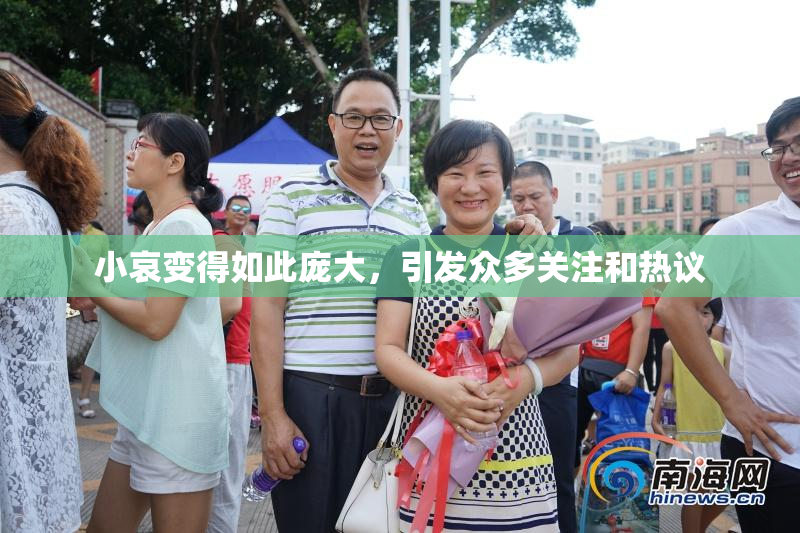 小哀变得如此庞大，引发众多关注和热议