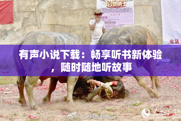 有声小说下载：畅享听书新体验，随时随地听故事