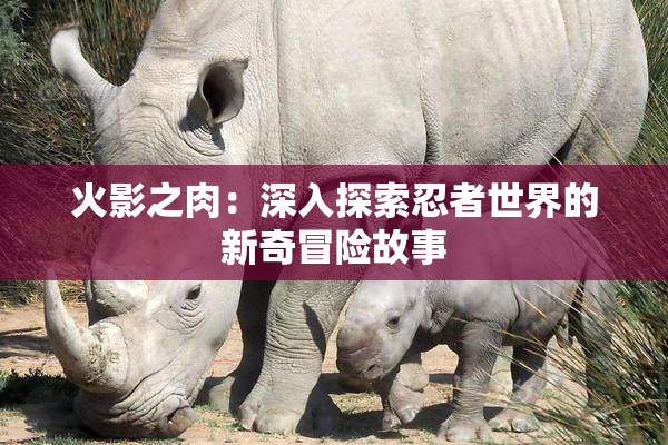 火影之肉：深入探索忍者世界的新奇冒险故事