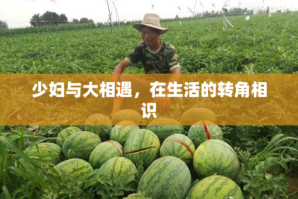 少妇与大相遇，在生活的转角相识