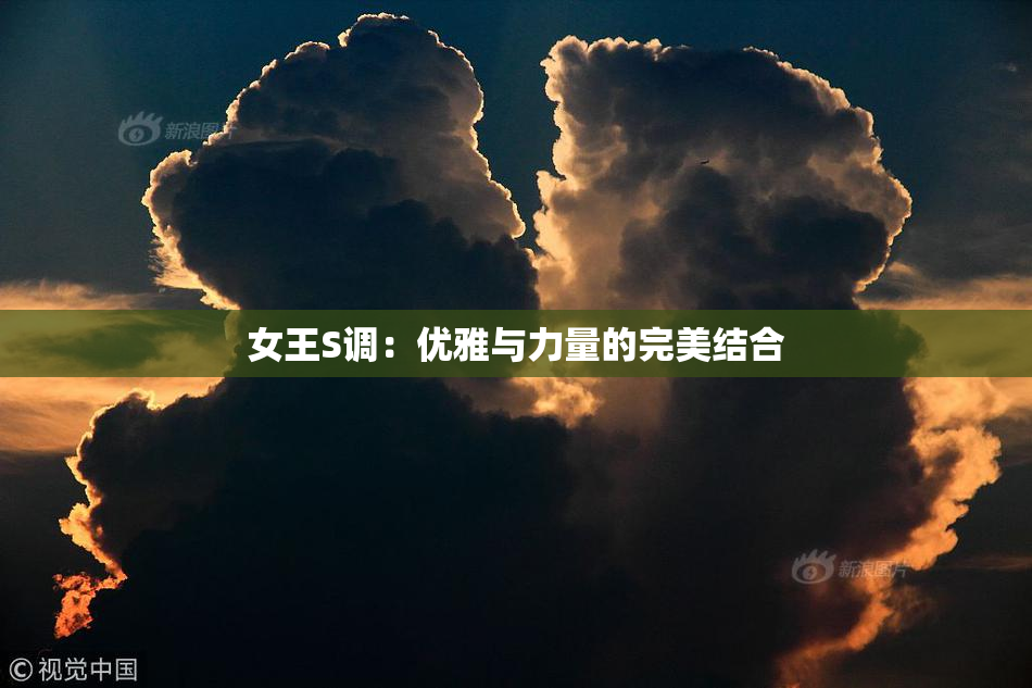 女王S调：优雅与力量的完美结合