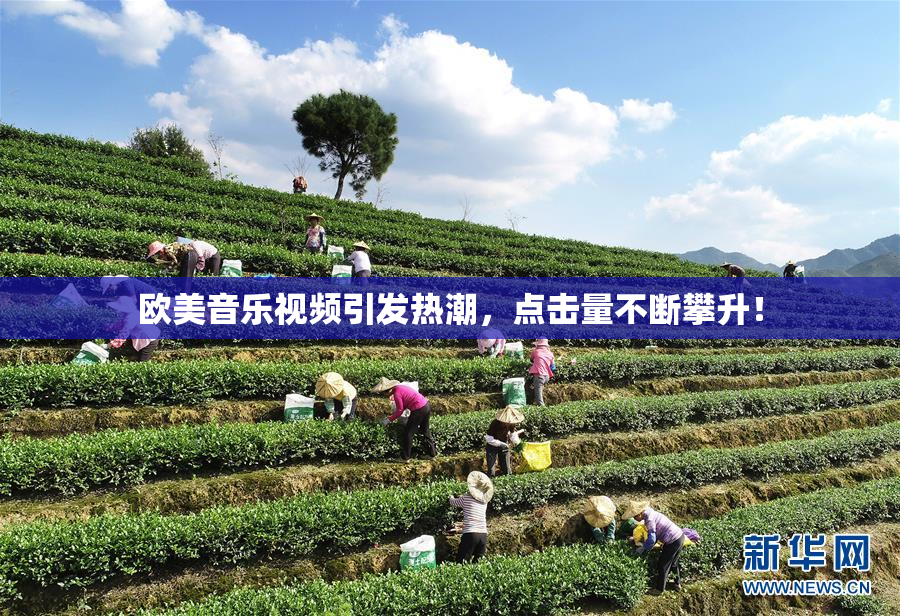 欧美音乐视频引发热潮，点击量不断攀升！