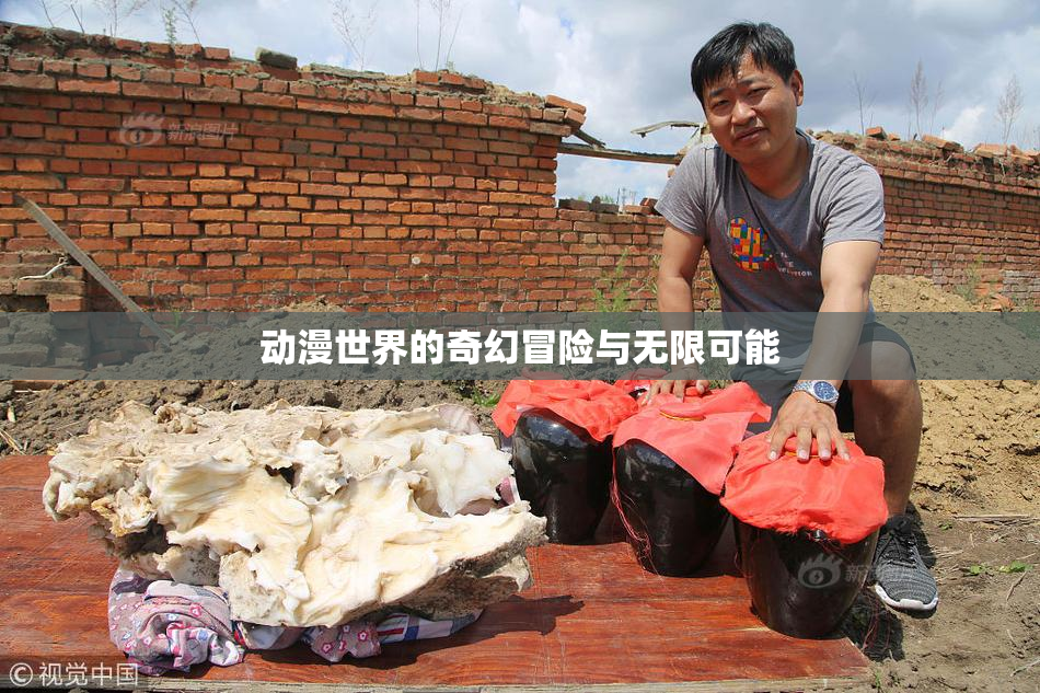 动漫世界的奇幻冒险与无限可能
