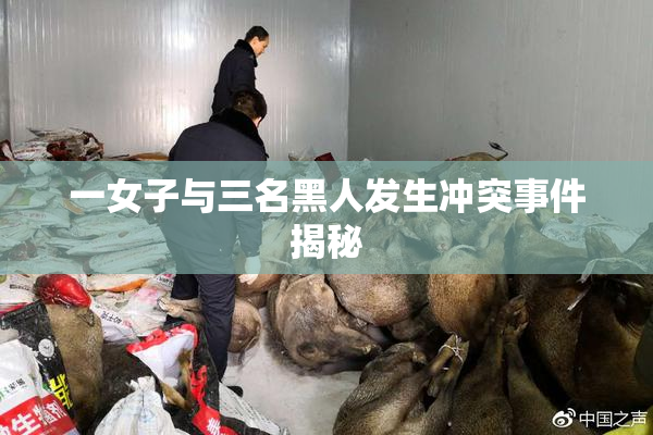一女子与三名黑人发生冲突事件揭秘
