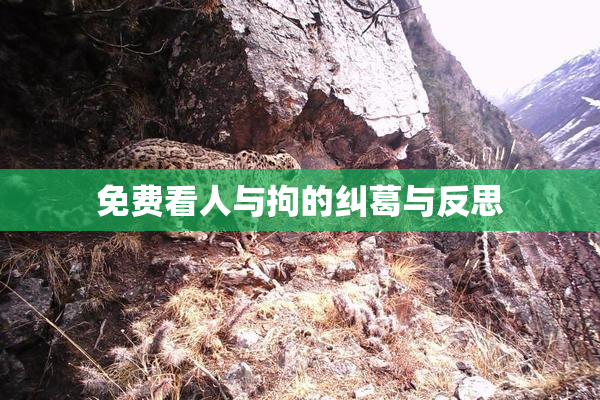 免费看人与拘的纠葛与反思