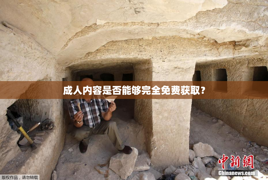 成人内容是否能够完全免费获取？
