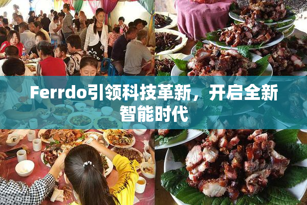 Ferrdo引领科技革新，开启全新智能时代