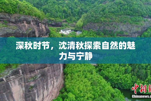 深秋时节，沈清秋探索自然的魅力与宁静