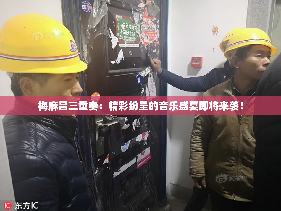 梅麻吕三重奏：精彩纷呈的音乐盛宴即将来袭！