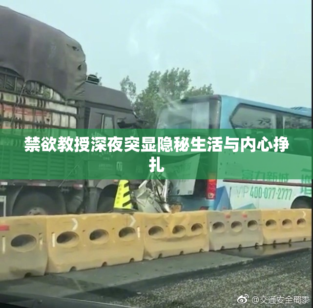 禁欲教授深夜突显隐秘生活与内心挣扎