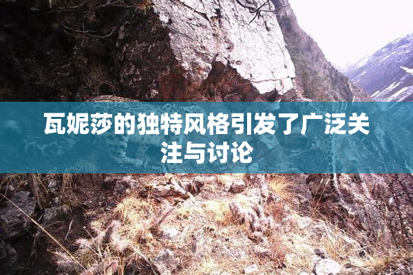 瓦妮莎的独特风格引发了广泛关注与讨论