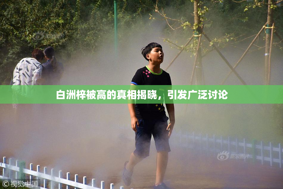 白洲梓被高的真相揭晓，引发广泛讨论