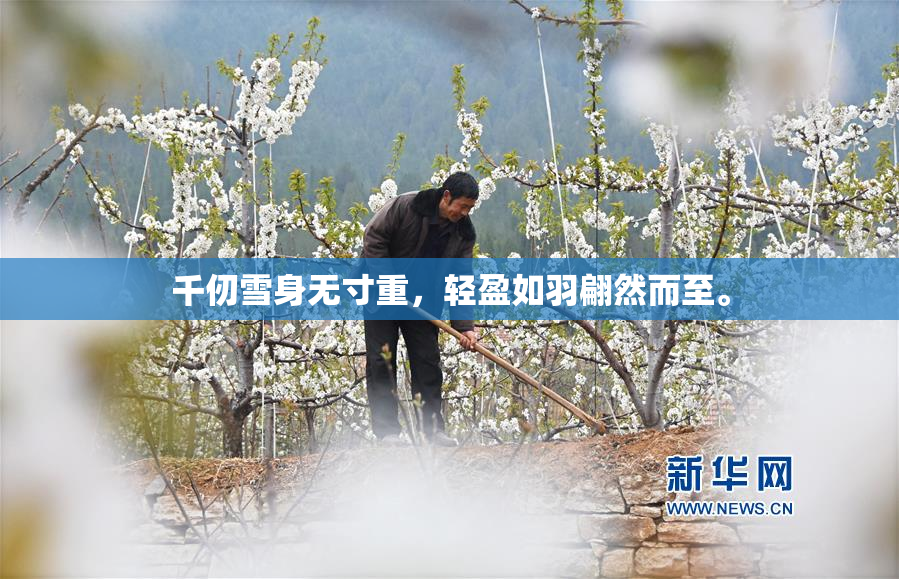 千仞雪身无寸重，轻盈如羽翩然而至。