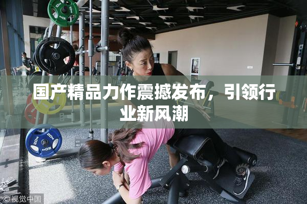 国产精品力作震撼发布，引领行业新风潮