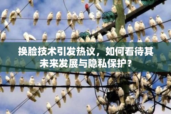 换脸技术引发热议，如何看待其未来发展与隐私保护？