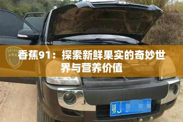 香蕉91：探索新鲜果实的奇妙世界与营养价值
