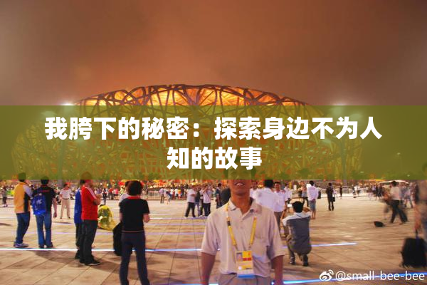 我胯下的秘密：探索身边不为人知的故事