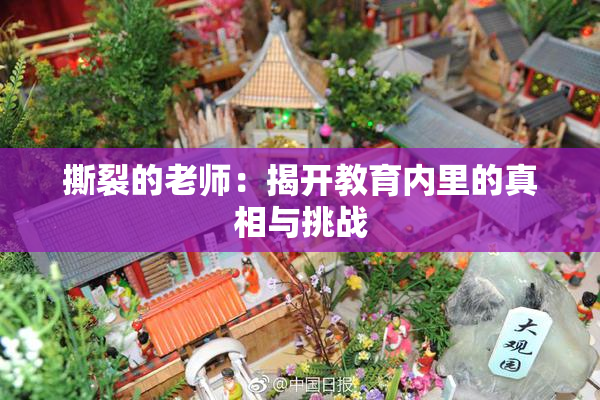 撕裂的老师：揭开教育内里的真相与挑战