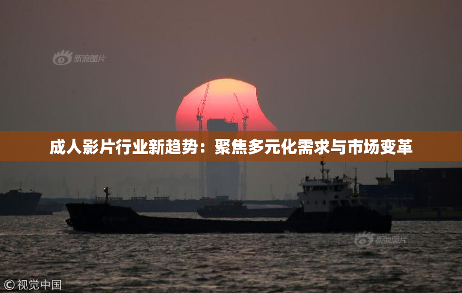 成人影片行业新趋势：聚焦多元化需求与市场变革
