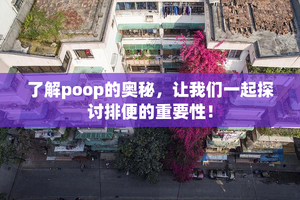 了解poop的奥秘，让我们一起探讨排便的重要性！