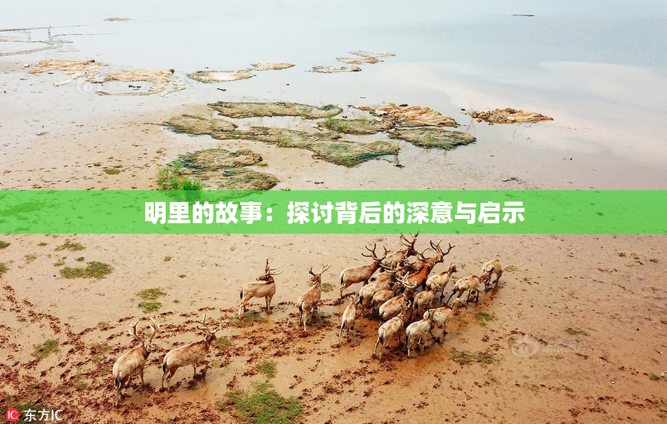 明里的故事：探讨背后的深意与启示