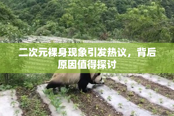 二次元裸身现象引发热议，背后原因值得探讨