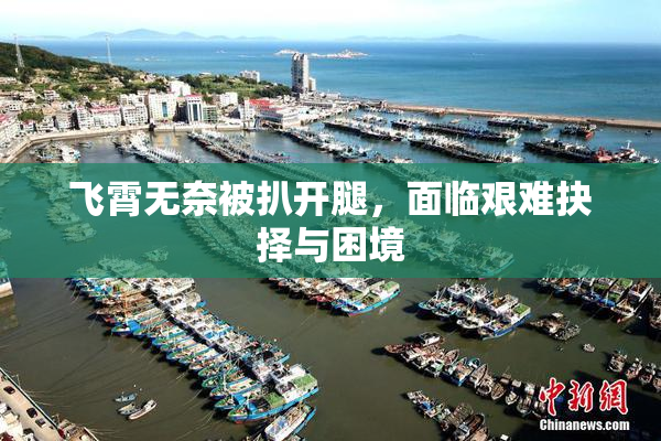 飞霄无奈被扒开腿，面临艰难抉择与困境