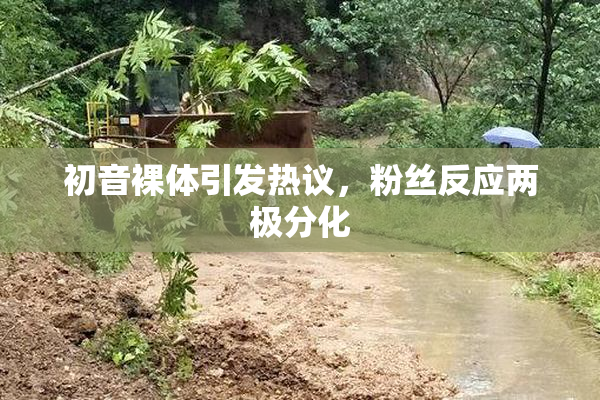 初音裸体引发热议，粉丝反应两极分化