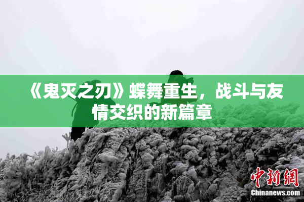 《鬼灭之刃》蝶舞重生，战斗与友情交织的新篇章