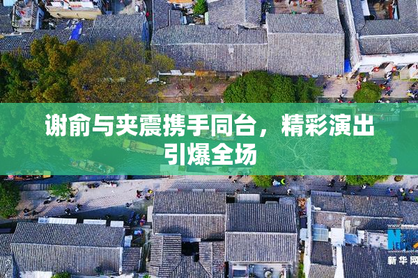 谢俞与夹震携手同台，精彩演出引爆全场