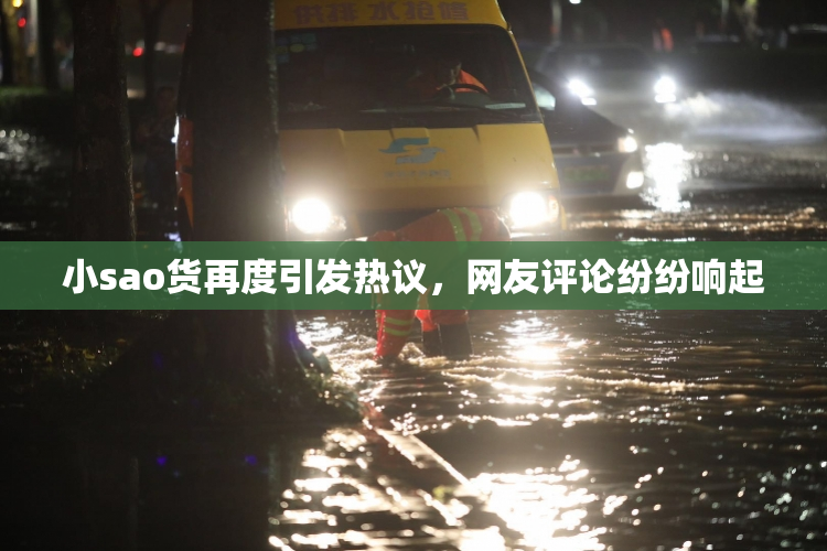小sao货再度引发热议，网友评论纷纷响起