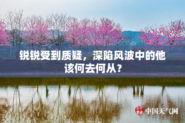 锐锐受到质疑，深陷风波中的他该何去何从？