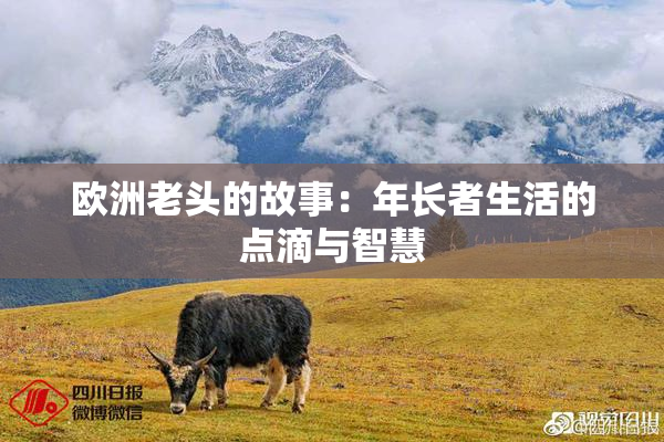 欧洲老头的故事：年长者生活的点滴与智慧