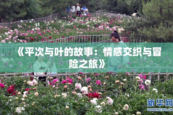 《平次与叶的故事：情感交织与冒险之旅》