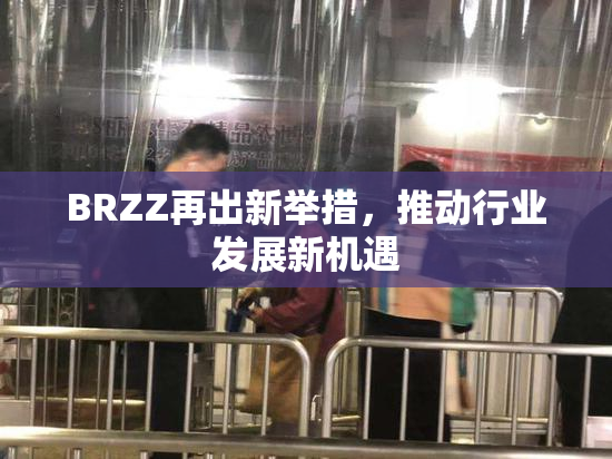 BRZZ再出新举措，推动行业发展新机遇