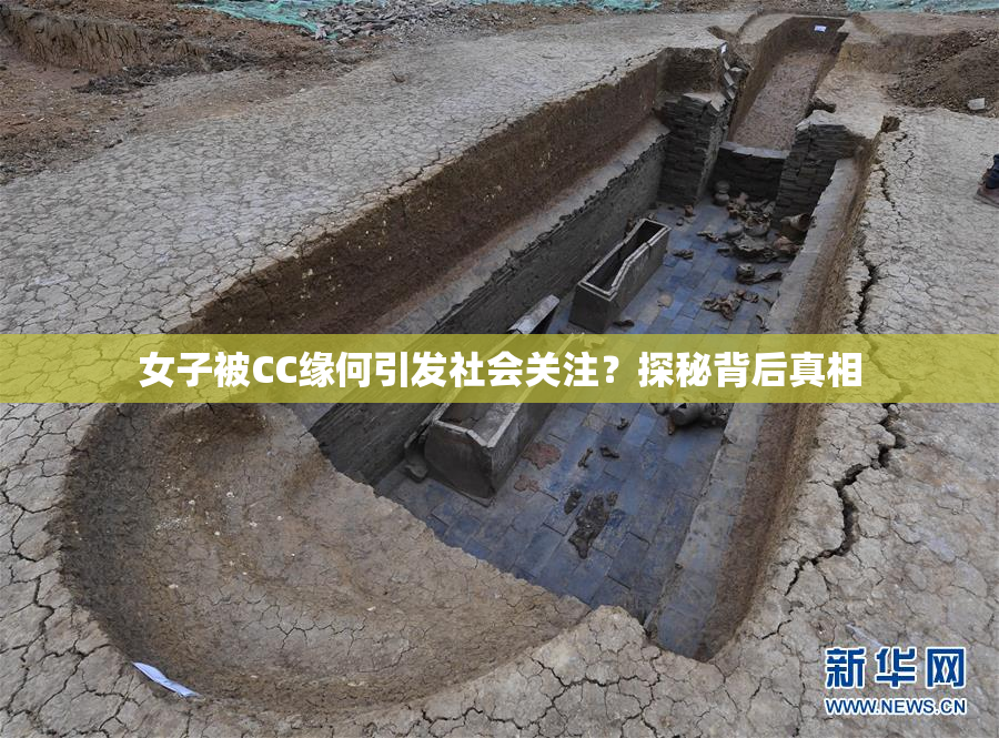 女子被CC缘何引发社会关注？探秘背后真相