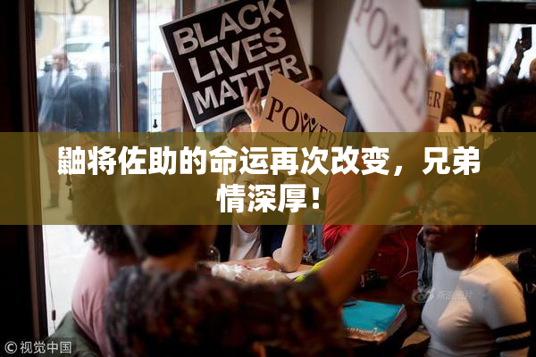 鼬将佐助的命运再次改变，兄弟情深厚！