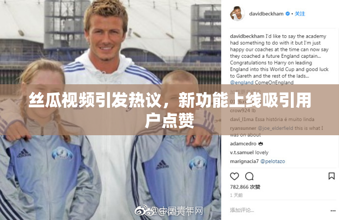 丝瓜视频引发热议，新功能上线吸引用户点赞