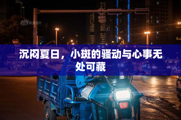 沉闷夏日，小斑的骚动与心事无处可藏