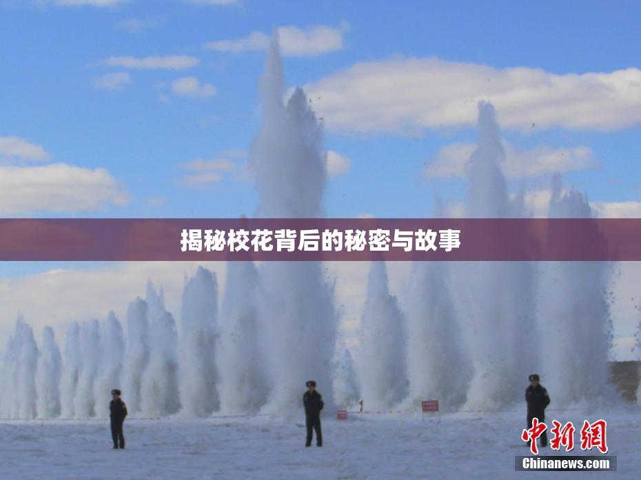 揭秘校花背后的秘密与故事