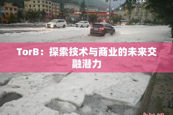 TorB：探索技术与商业的未来交融潜力