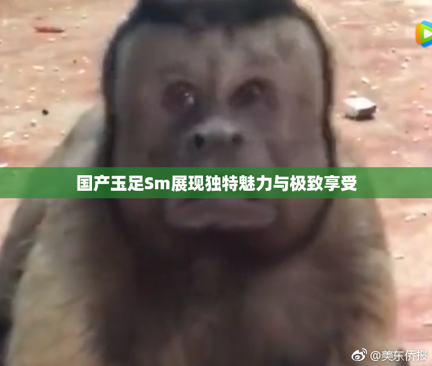 国产玉足Sm展现独特魅力与极致享受