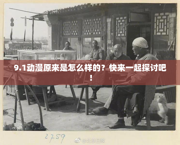 9.1动漫原来是怎么样的？快来一起探讨吧！