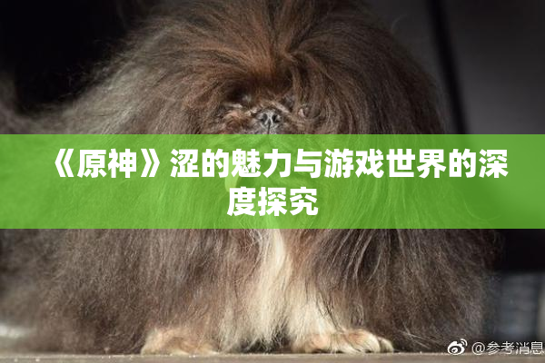 《原神》涩的魅力与游戏世界的深度探究