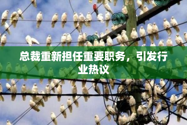 总裁重新担任重要职务，引发行业热议