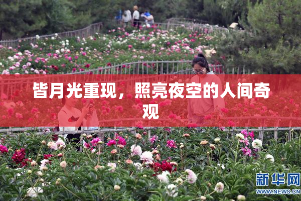 皆月光重现，照亮夜空的人间奇观
