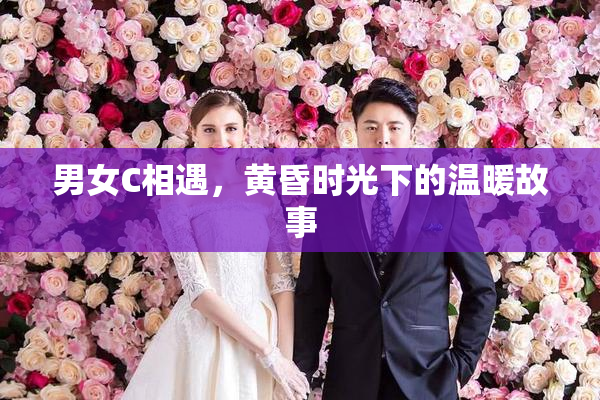 男女C相遇，黄昏时光下的温暖故事