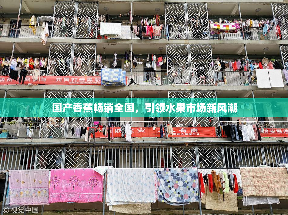 国产香蕉畅销全国，引领水果市场新风潮