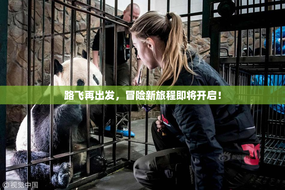 路飞再出发，冒险新旅程即将开启！
