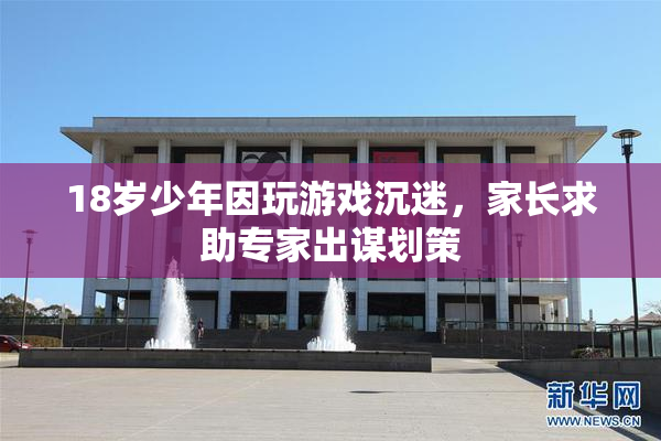 18岁少年因玩游戏沉迷，家长求助专家出谋划策